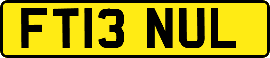 FT13NUL