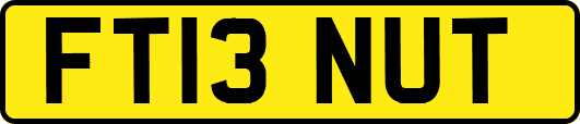 FT13NUT