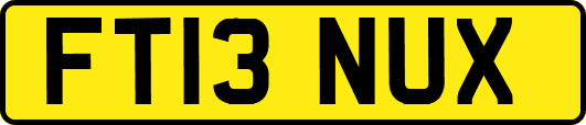 FT13NUX