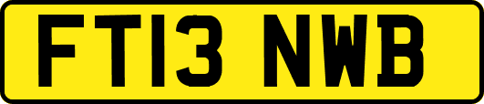 FT13NWB