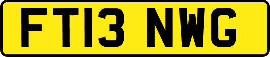 FT13NWG