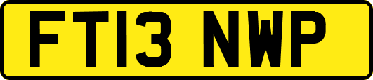FT13NWP
