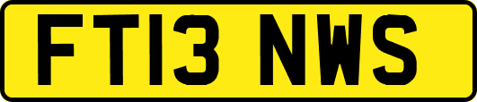 FT13NWS