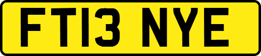 FT13NYE