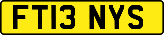 FT13NYS