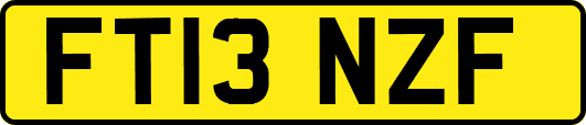 FT13NZF