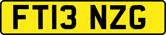 FT13NZG