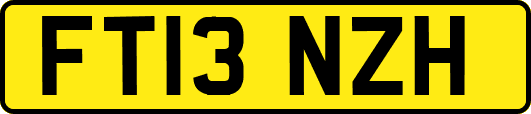 FT13NZH