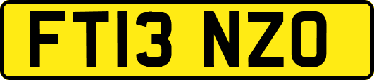 FT13NZO