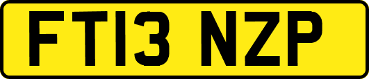 FT13NZP