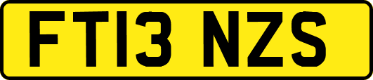 FT13NZS