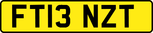 FT13NZT
