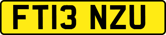 FT13NZU