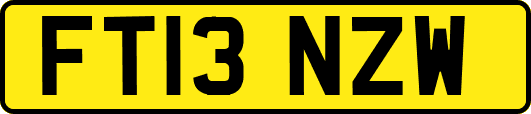 FT13NZW