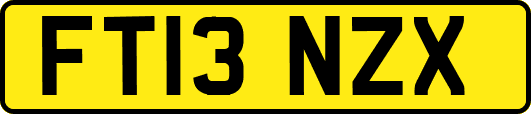 FT13NZX