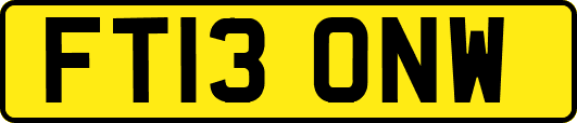 FT13ONW