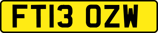 FT13OZW