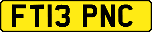 FT13PNC