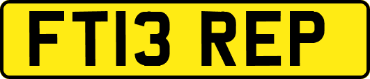 FT13REP