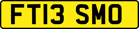 FT13SMO