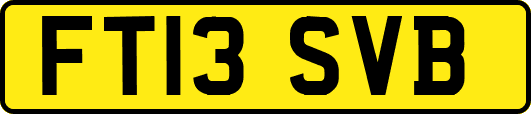 FT13SVB