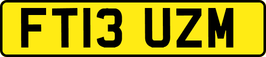FT13UZM