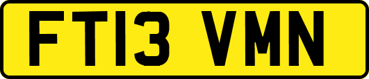 FT13VMN
