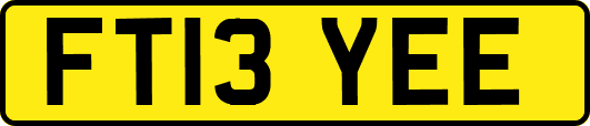 FT13YEE
