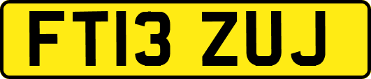 FT13ZUJ