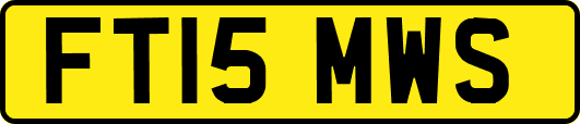 FT15MWS