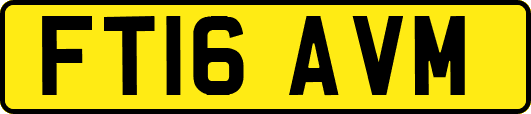 FT16AVM
