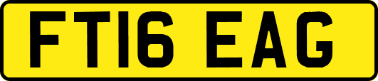 FT16EAG