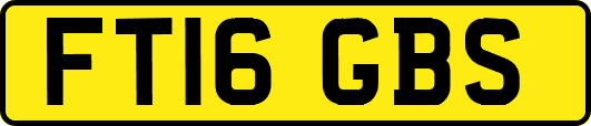 FT16GBS