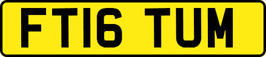 FT16TUM