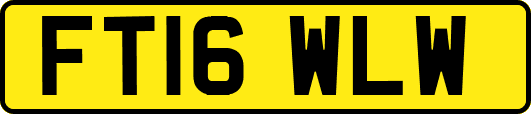 FT16WLW