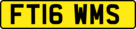 FT16WMS