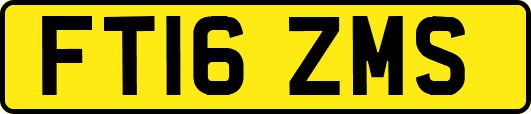 FT16ZMS