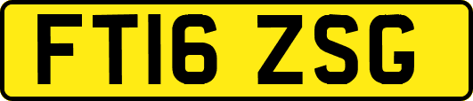 FT16ZSG