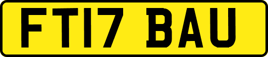 FT17BAU