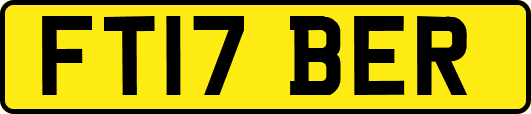 FT17BER