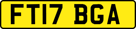 FT17BGA