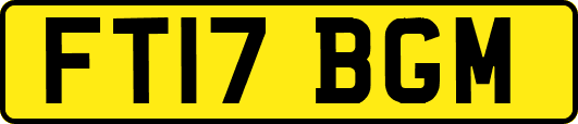 FT17BGM