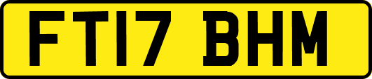 FT17BHM