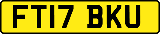 FT17BKU