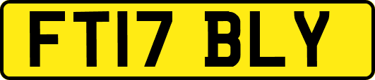 FT17BLY