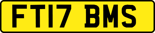FT17BMS
