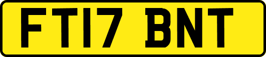 FT17BNT