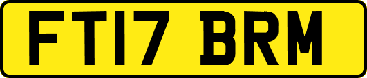 FT17BRM
