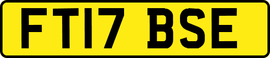 FT17BSE