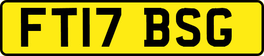 FT17BSG